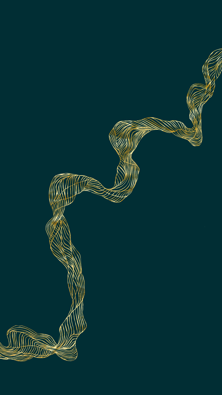 Creative ZOO har produceret en ny visuel identitet for gourmetrestauranten Ghrelin.